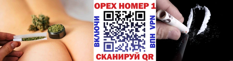 darknet наркотические препараты  Элиста  COCAIN Эквадор 